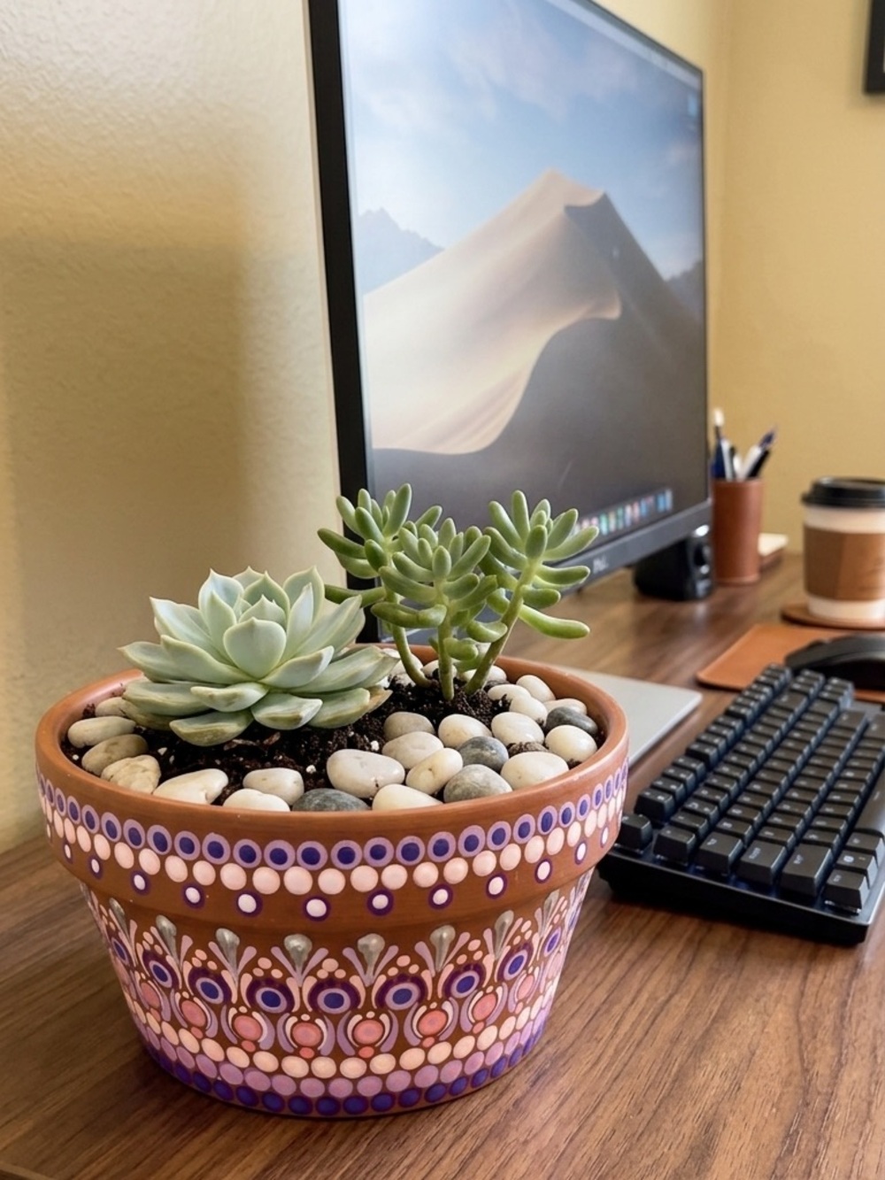 Hand Painted Wide Planter – Terracotta Succulent Pot . Unique Artisan Gift